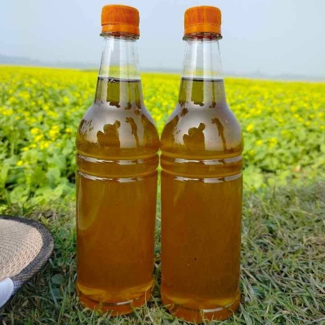 সরিষার ফুলের খাঁটি মধু ১ কেজি ৬০০ টাকা