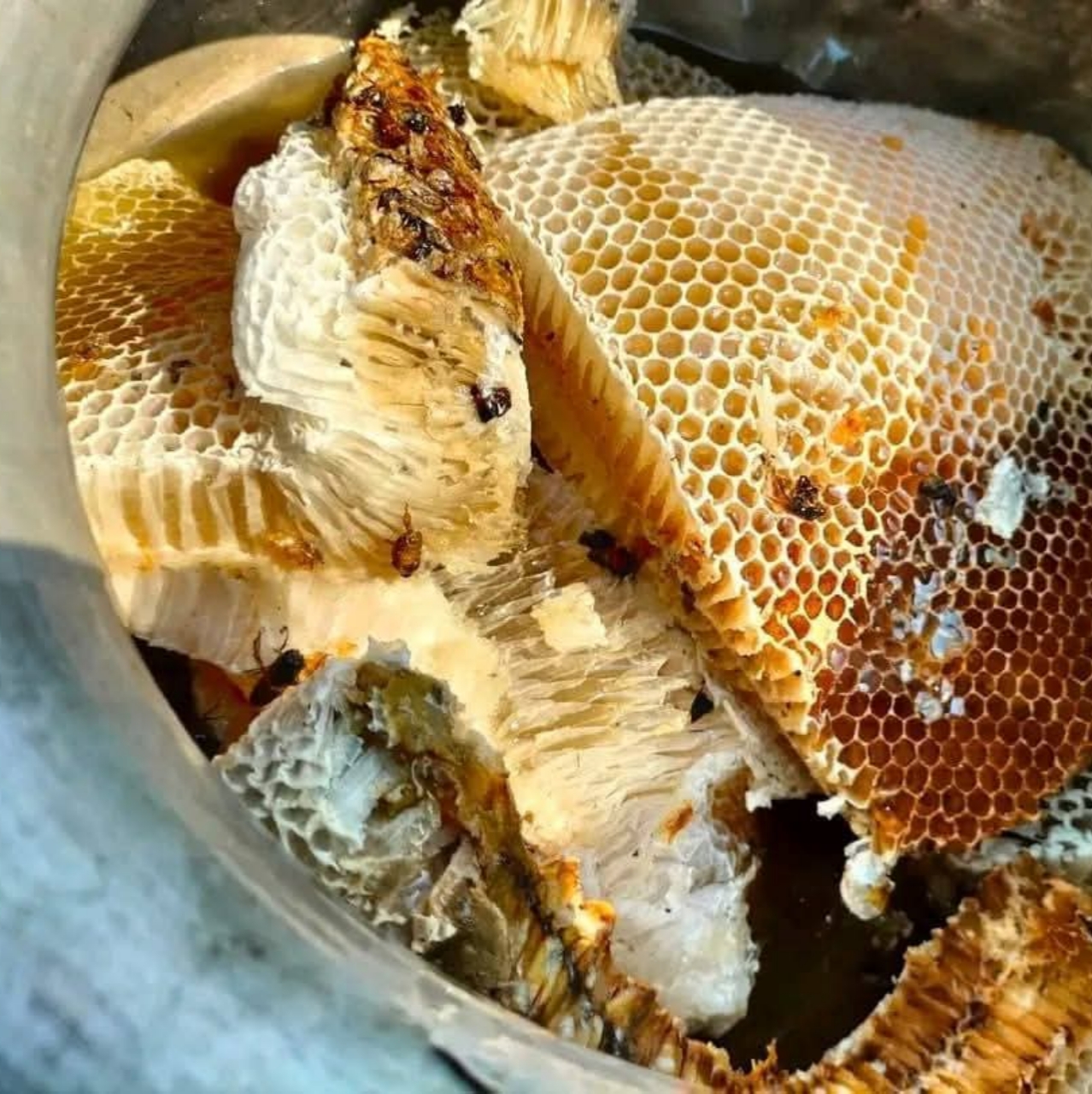 Buy Original honey from Sundarban| অরিজিনাল সুন্দরবনের মধু ১ কেজি