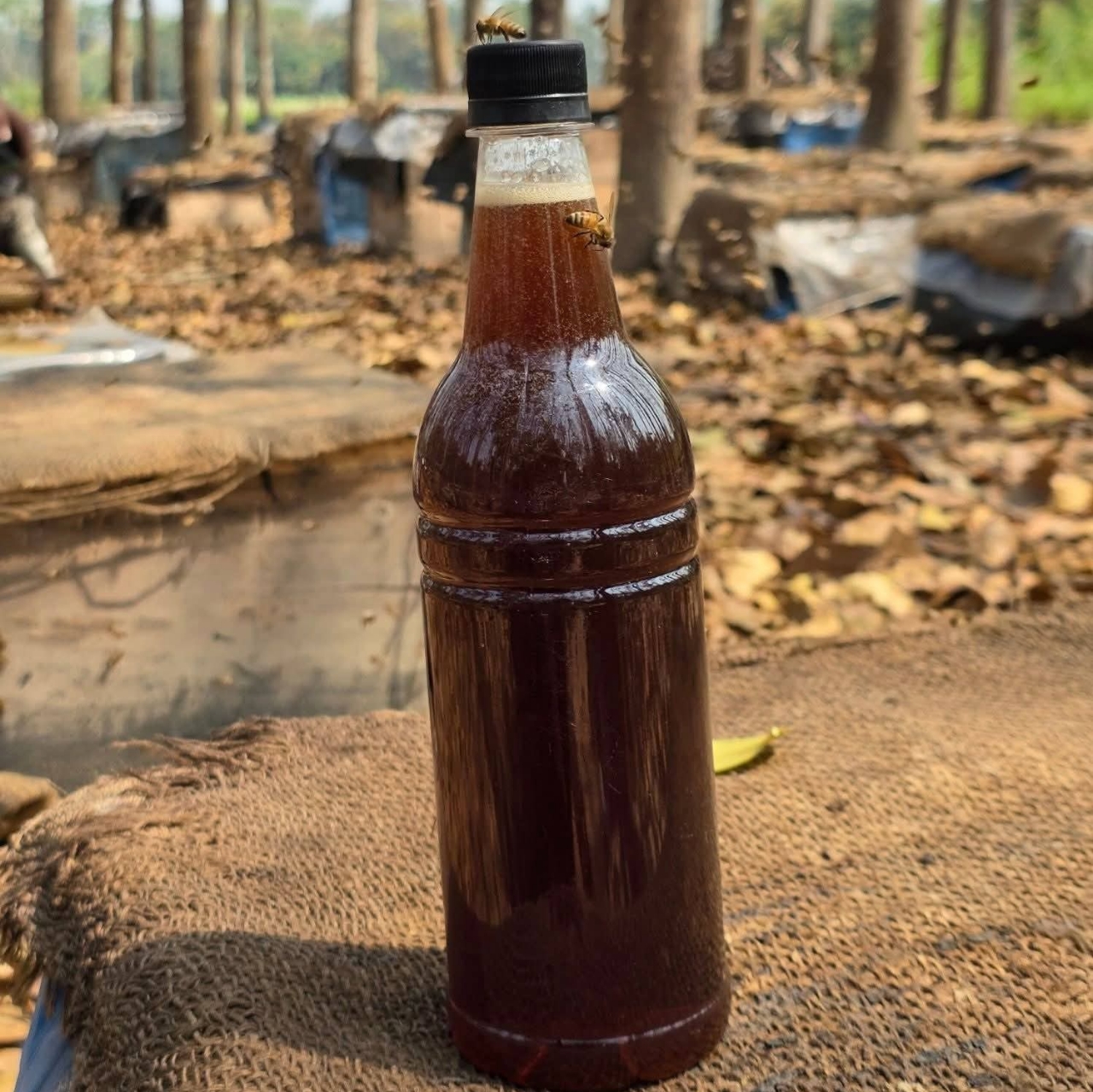 কালো জিরা ফুলের মধু ১ কেজি ১২০০ টাকা